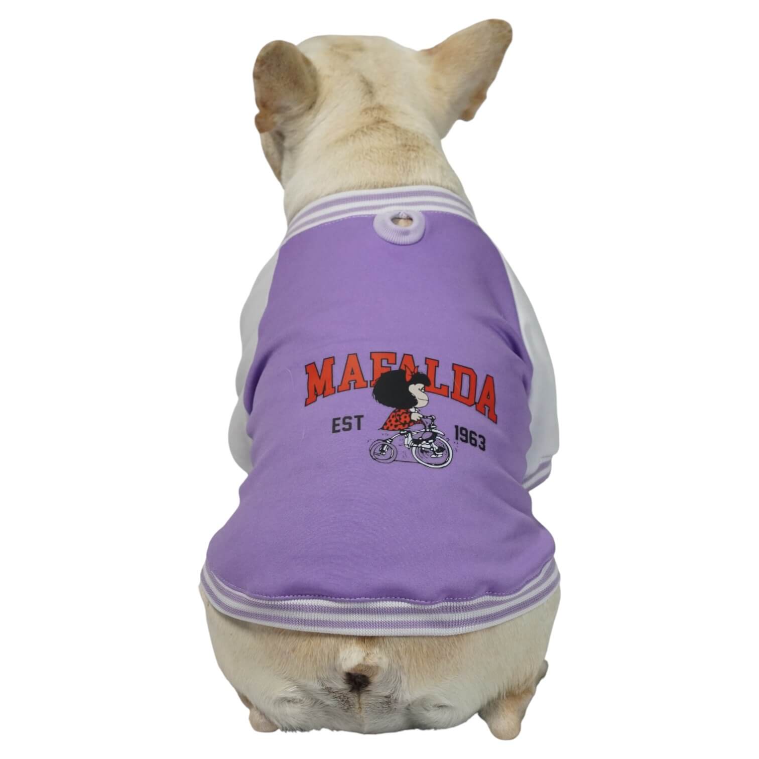 Beisbolera Mafalda morada para perros y gatos en algodón 
perchado vista frontal - Animal Power Colombia

