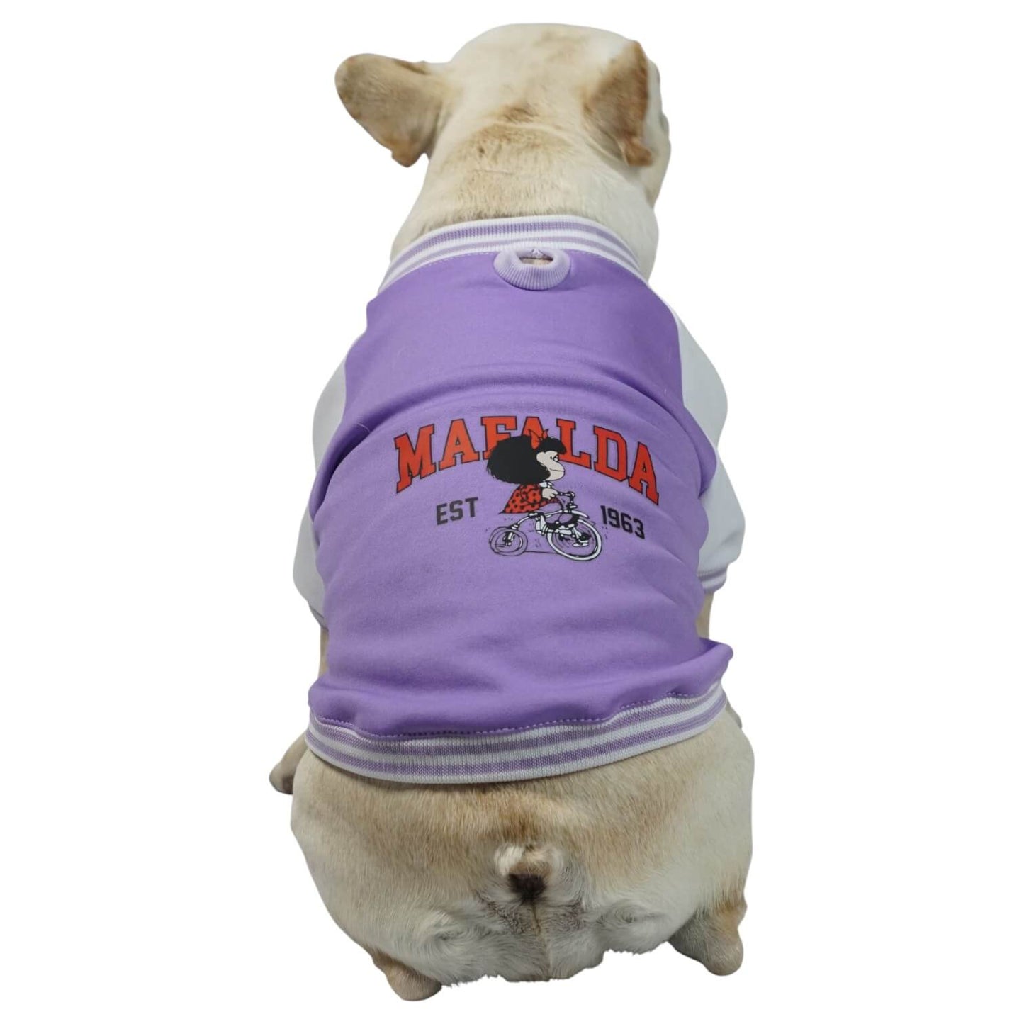Beisbolera Mafalda morada para perros y gatos en algodón 
perchado vista frontal - Animal Power Colombia 3
