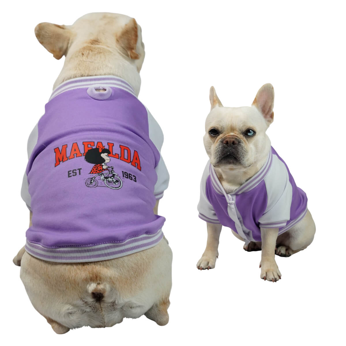 Beisbolera Mafalda morada para perros y gatos en algodón 
perchado vista frontal - Animal Power Colombia

