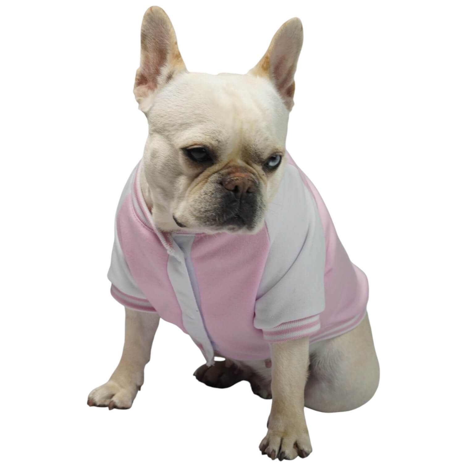 Beisbolera Minnie Mouse rosada para perros y gatos en 
algodón perchado vista frontal - Animal Power Colombia 6
