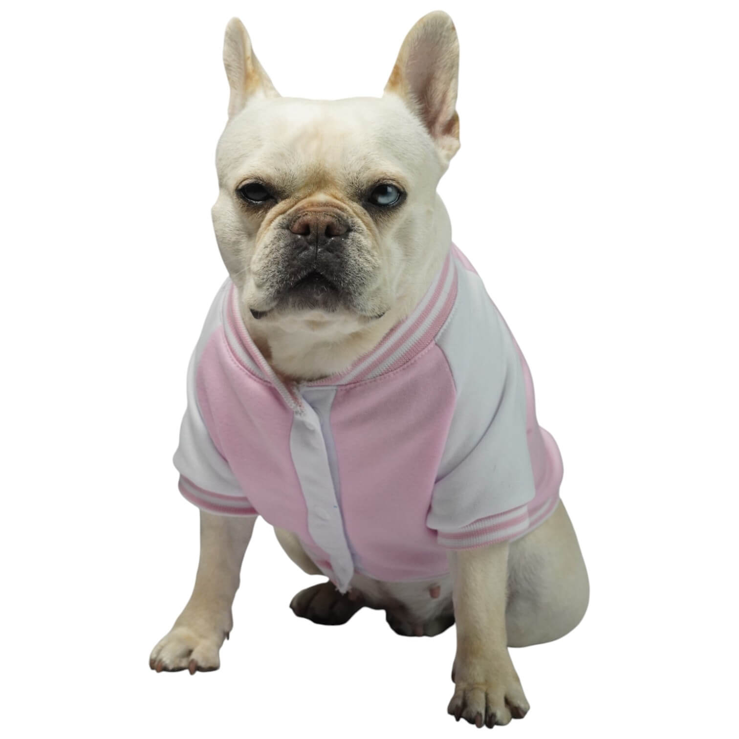 Beisbolera Minnie Mouse rosada para perros y gatos en 
algodón perchado vista frontal - Animal Power Colombia 4
