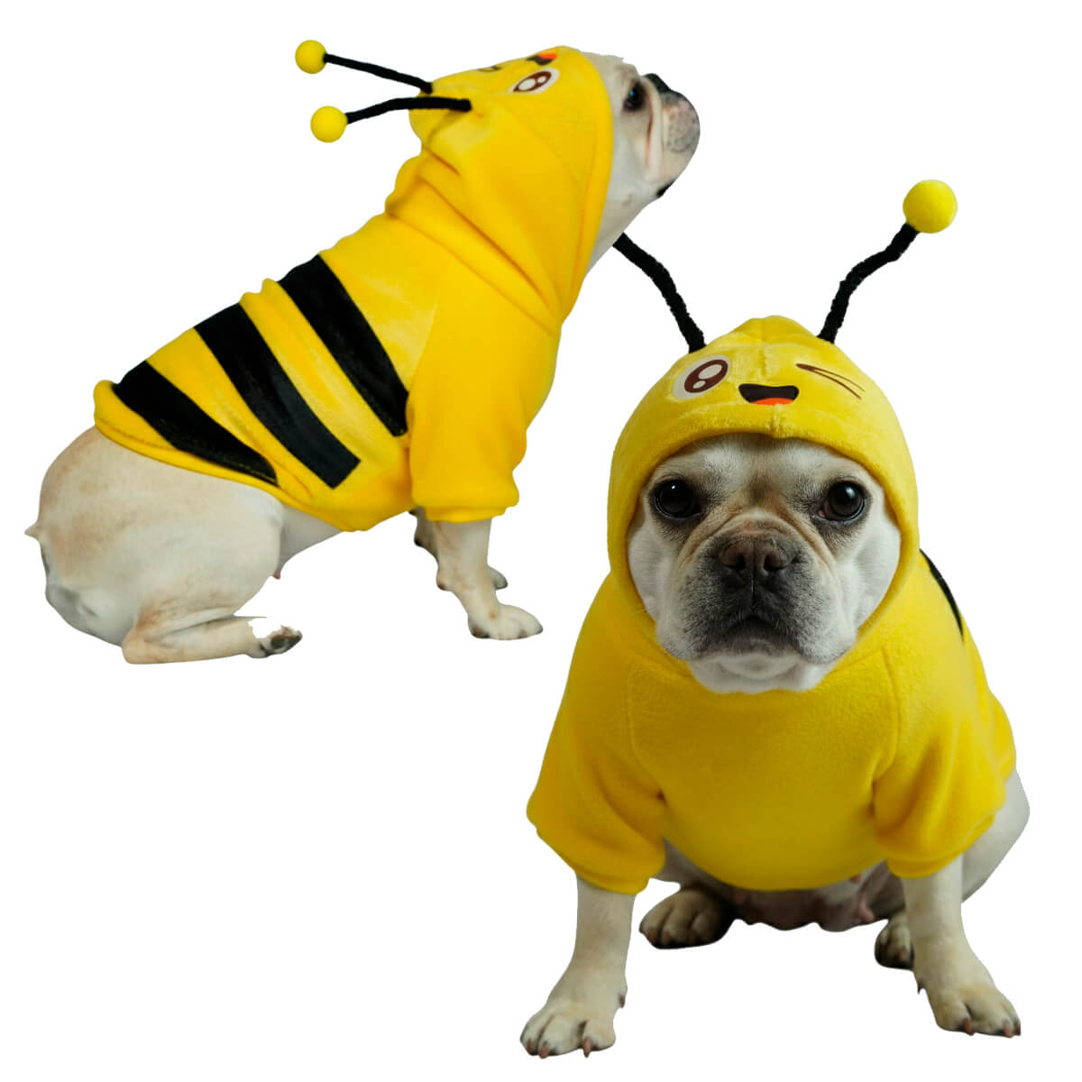 Buzo Abejita para perros y gatos en piel de conejo amarillo 
con antenas en capota vista frontal - Animal Power Colombia
