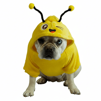 Buzo Abejita para perros y gatos en piel de conejo amarillo 
con antenas en capota vista frontal - Animal Power Colombia
