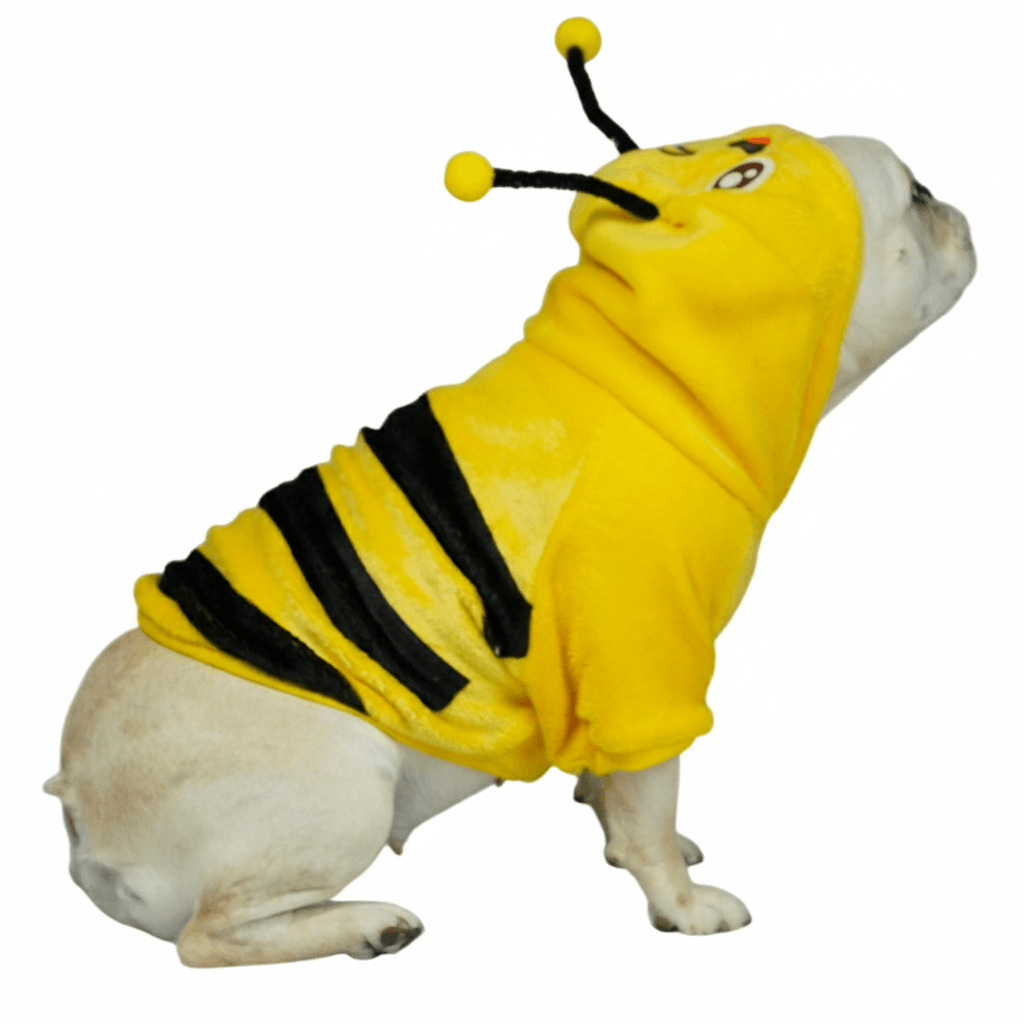 Buzo Abejita para perros y gatos en piel de conejo amarillo 
con antenas en capota vista frontal - Animal Power Colombia
