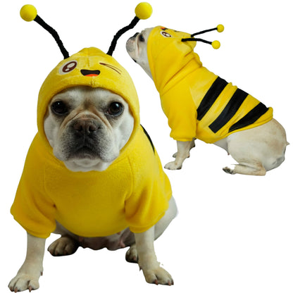 Buzo Abejita para perros y gatos en piel de conejo amarillo 
con antenas en capota vista frontal - Animal Power Colombia
