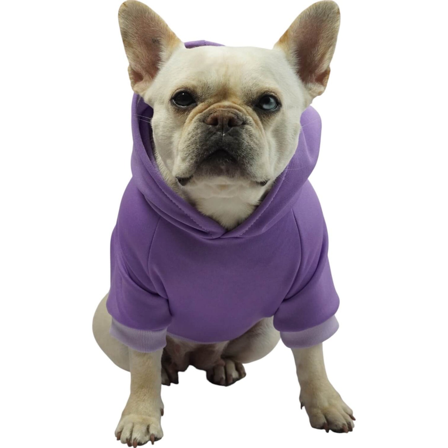 Buzo anime Bulma para perros y gatos en algodón perchado 
morado vista frontal - Animal Power Colombia 6
