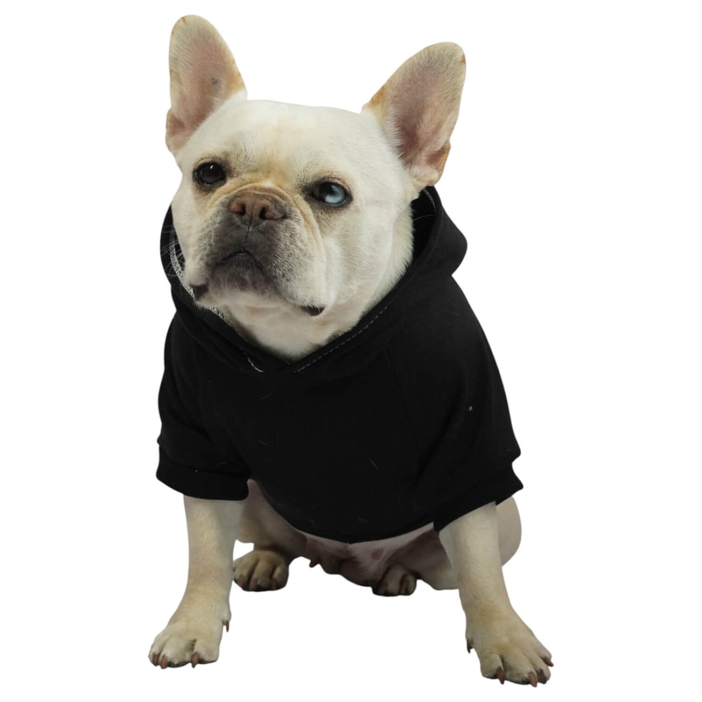 Buzo anime One Piece para perros y gatos en algodón 
perchado negro vista frontal - Animal Power Colombia
5