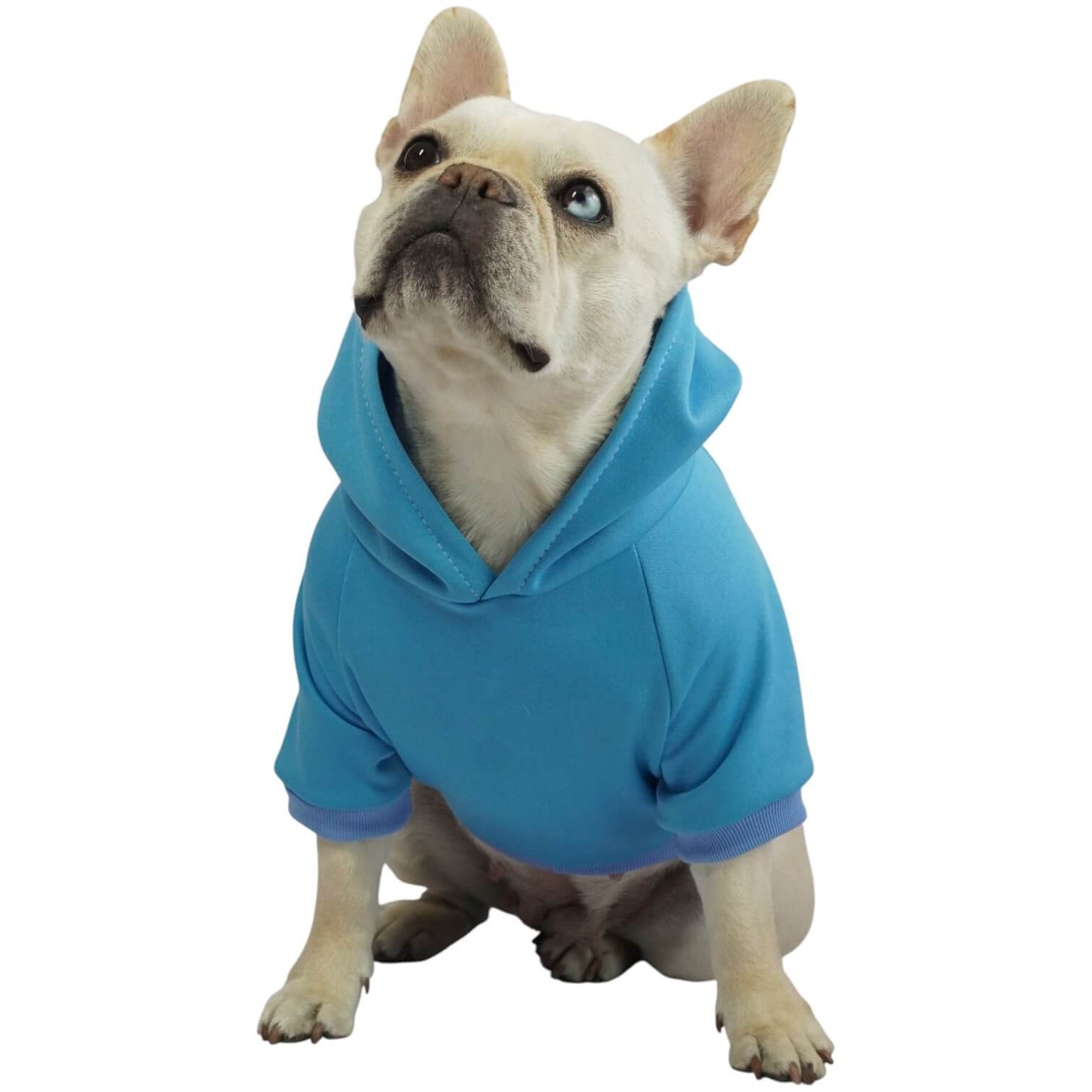  Buzo anime Pokémon Ash para perros y gatos en algodón 
perchado azul vista frontal - Animal Power Colombia
6