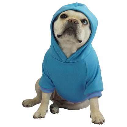  Buzo anime Pokémon Ash para perros y gatos en algodón 
perchado azul vista frontal - Animal Power Colombia
7