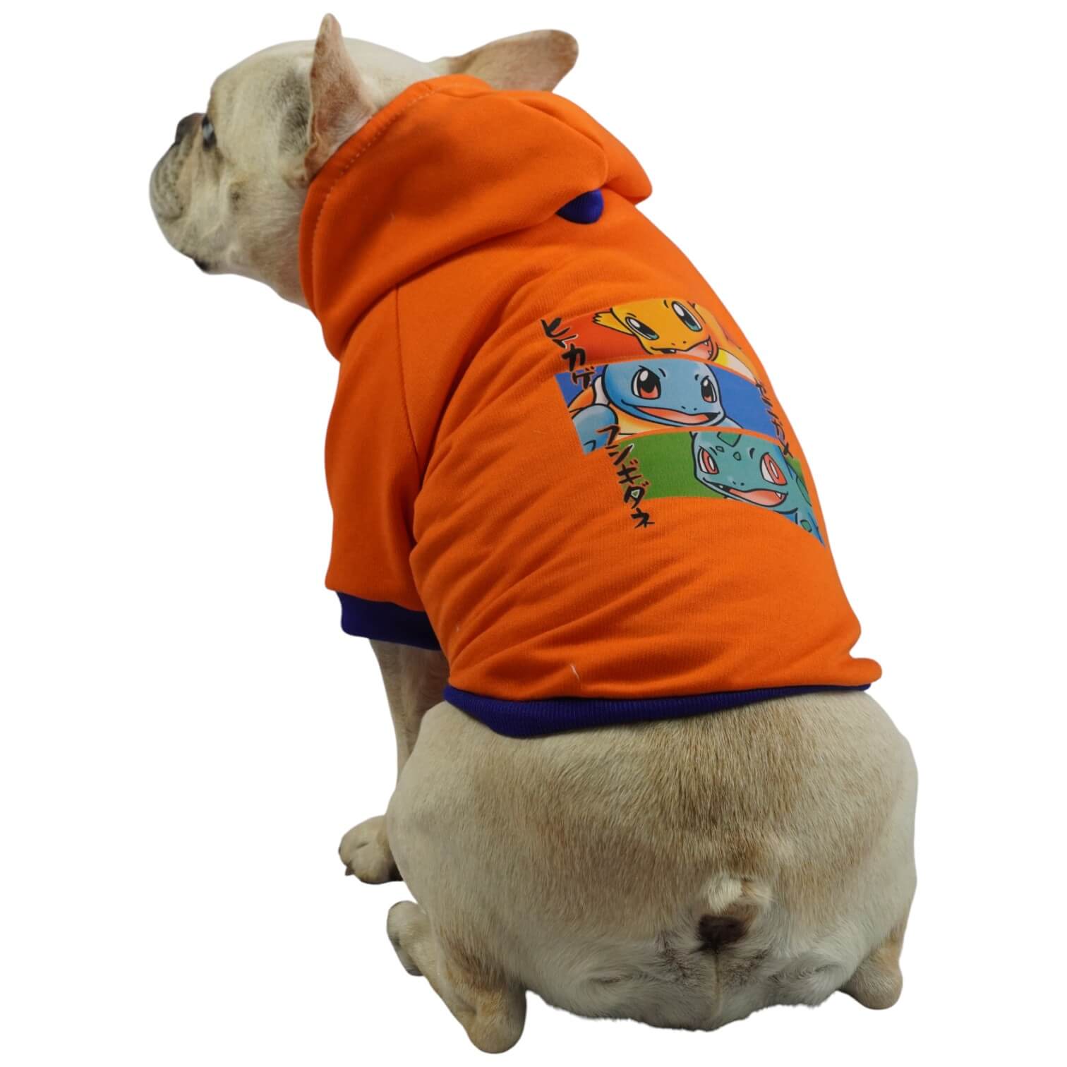  Buzo anime Pokémon para perros y gatos en algodón perchado 
naranja vista frontal - Animal Power Colombia
3
