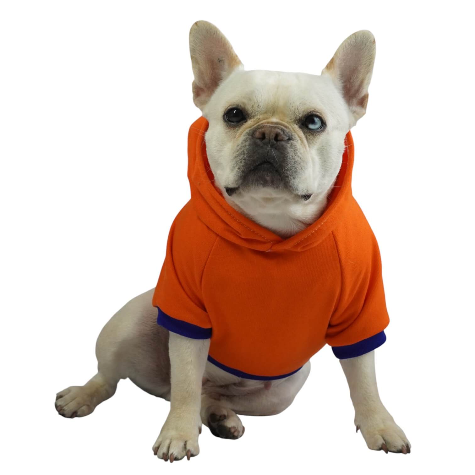  Buzo anime Pokémon para perros y gatos en algodón perchado 
naranja vista frontal - Animal Power Colombia
5