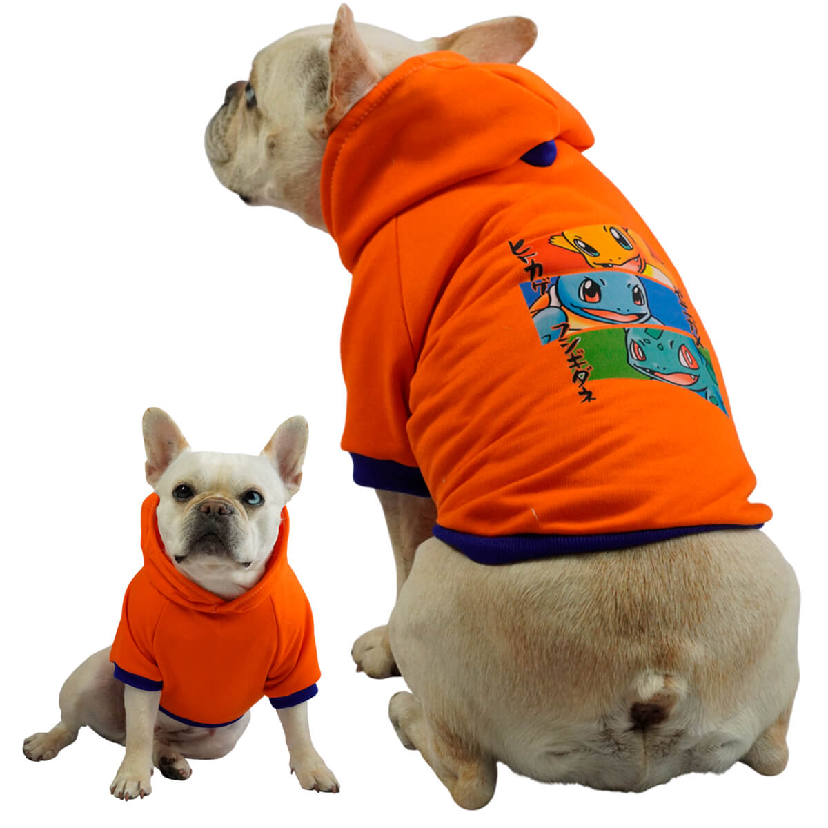  Buzo anime Pokémon para perros y gatos en algodón perchado 
naranja vista frontal - Animal Power Colombia
