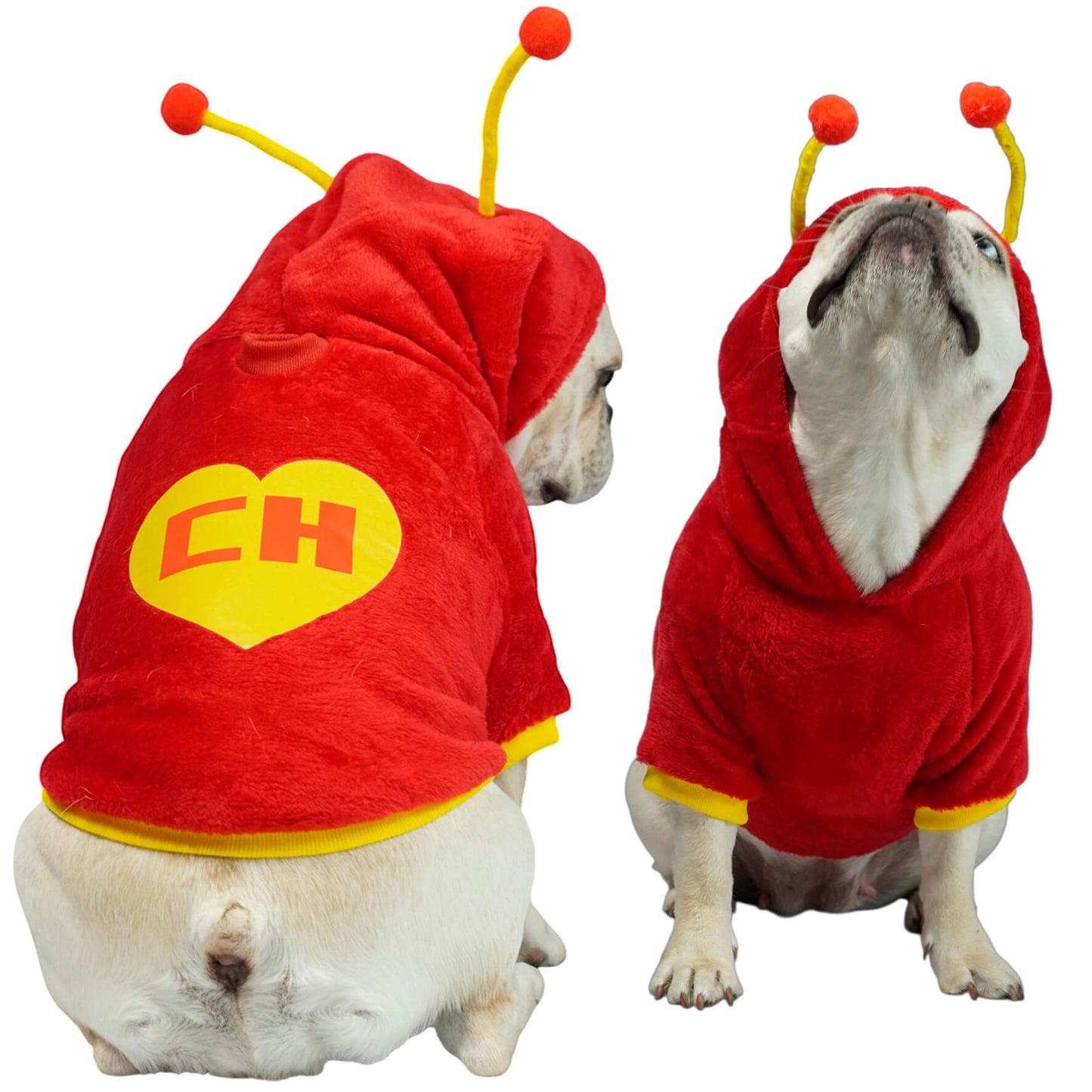  Buzo Chapulín Colorado para perros y gatos en piel de 
conejo rojo con antenas en capota vista frontal - Animal Power Colombia
