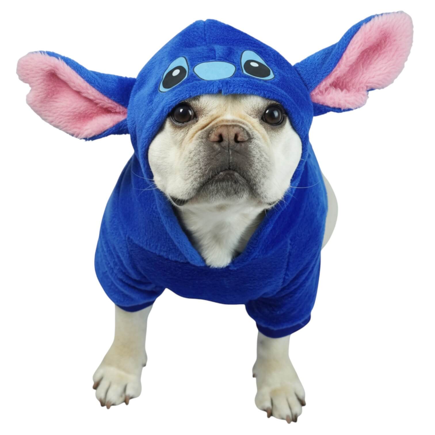 Buzo Stitch para perros y gatos en piel de conejo azul 
con orejas en capota vista frontal - Animal Power Colombia
