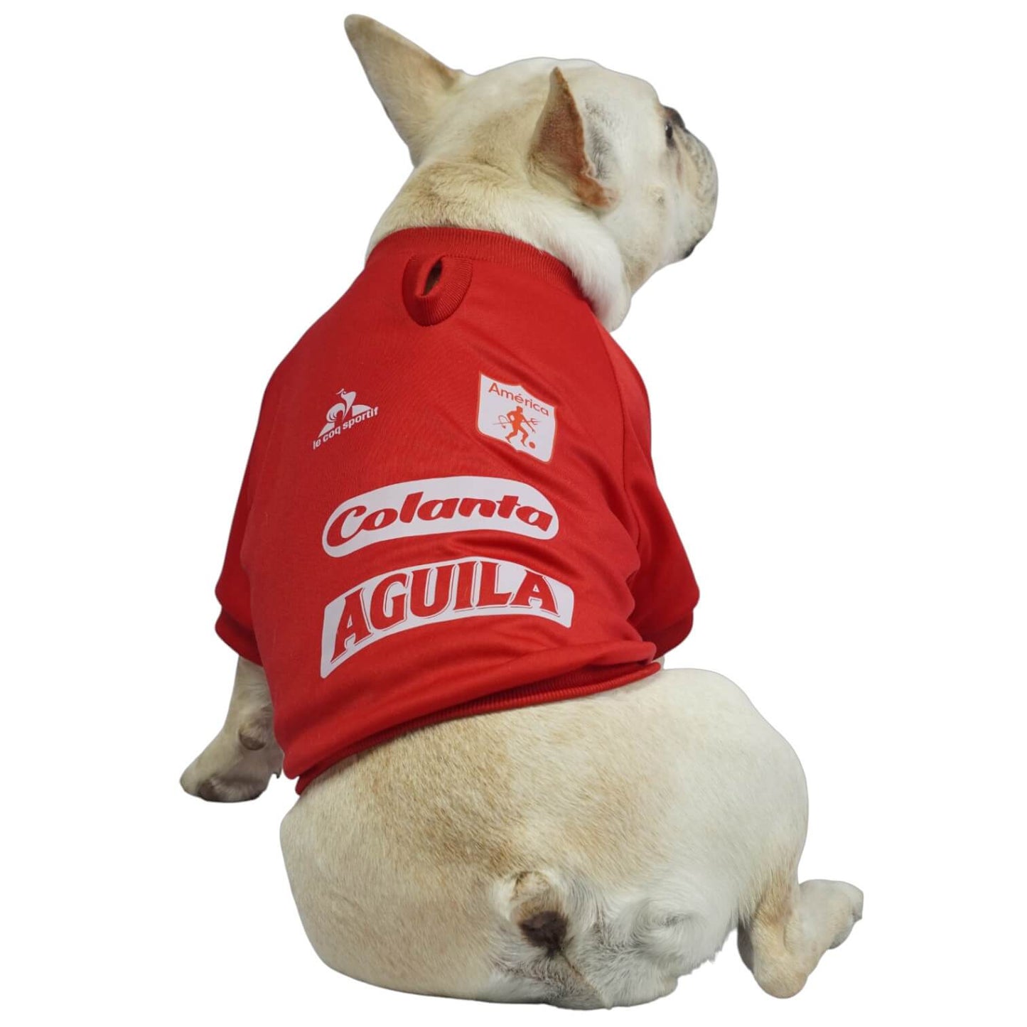 Camiseta América de Cali para perros y gatos en tela 
deportiva roja vista frontal - Animal Power Colombia
