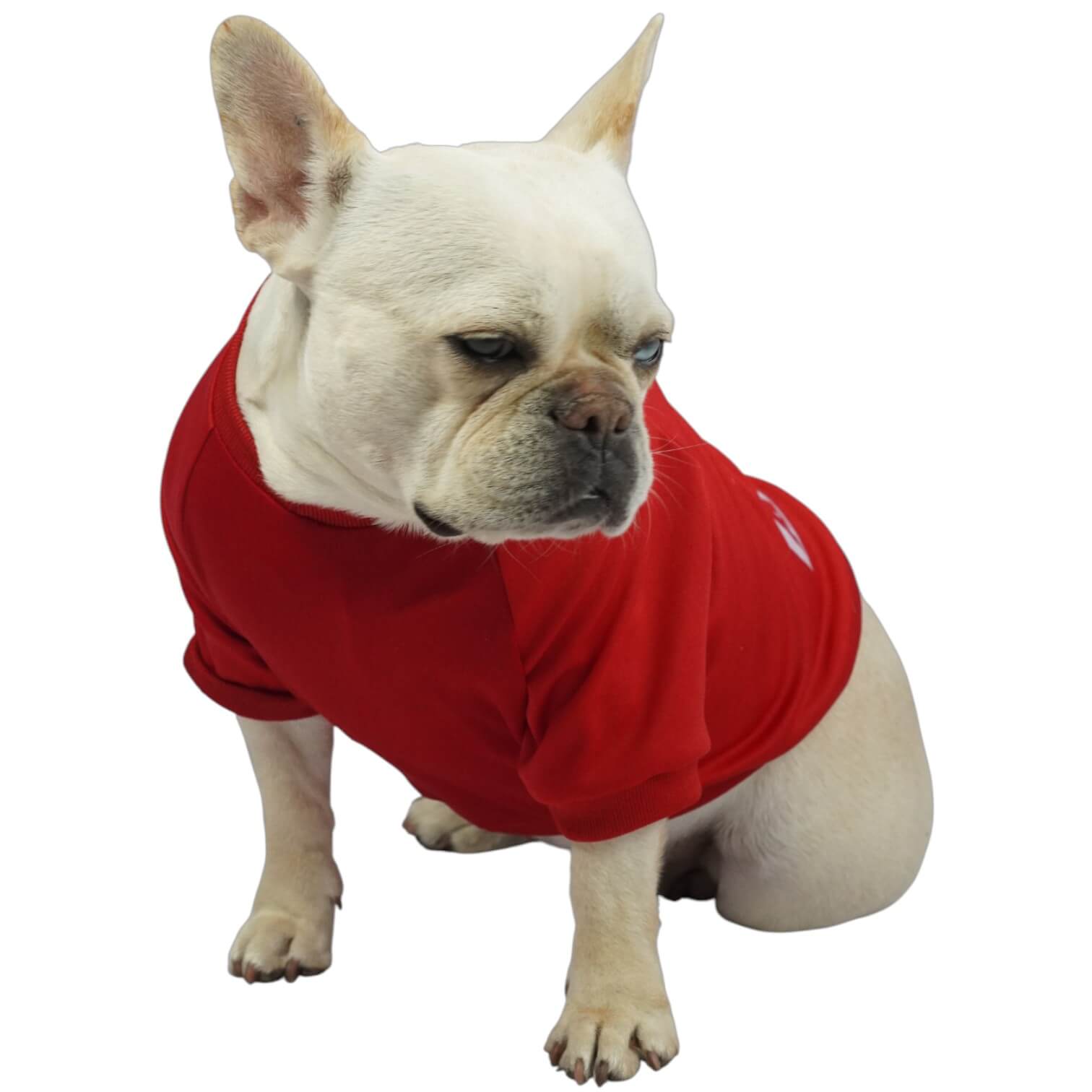 Camiseta América de Cali para perros y gatos en tela 
deportiva roja vista frontal - Animal Power Colombia
