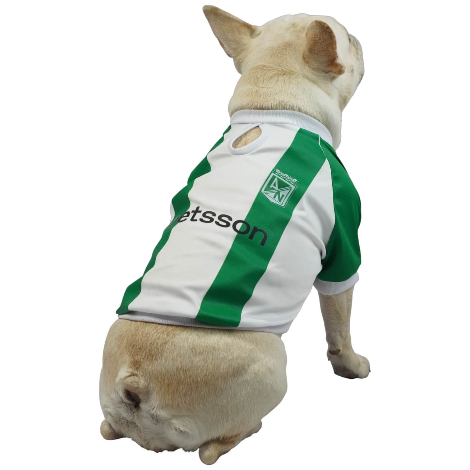 Camiseta Atlético Nacional para perros y gatos en tela 
deportiva verde con blanco vista frontal - Animal Power Colombia
