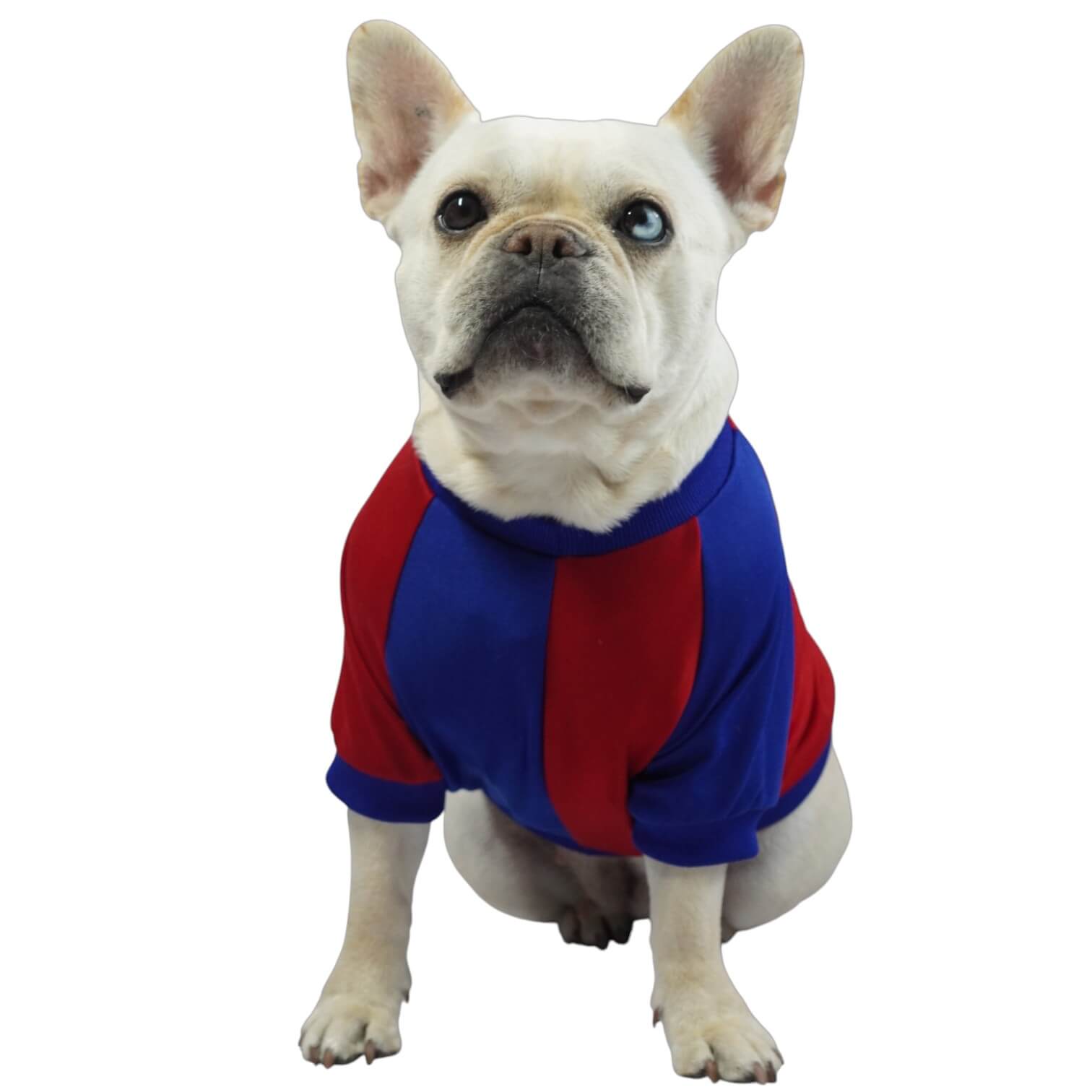 Camiseta Barcelona para perros y gatos en tela deportiva 
roja con azul vista frontal - Animal Power Colombia
