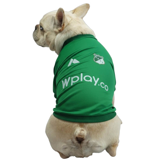 Camiseta América de Cali para perros y gatos en tela 
deportiva roja vista frontal - Animal Power Colombia
