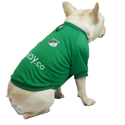 Camiseta América de Cali para perros y gatos en tela 
deportiva roja vista frontal - Animal Power Colombia
