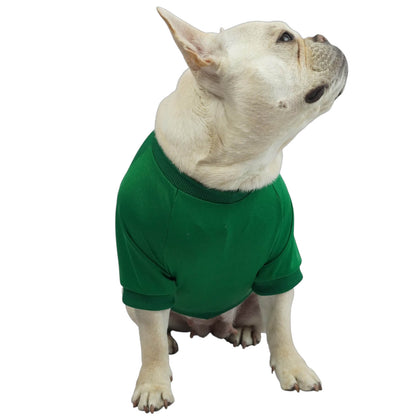 Camiseta América de Cali para perros y gatos en tela 
deportiva roja vista frontal - Animal Power Colombia
