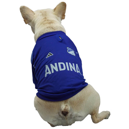 Camiseta Millonarios para perros y gatos en tela deportiva 
azul vista frontal - Animal Power Colombia
