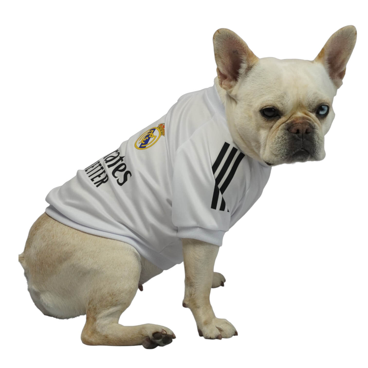 Camiseta Real Madrid para perros y gatos en tela deportiva 
blanca vista frontal - Animal Power Colombia
