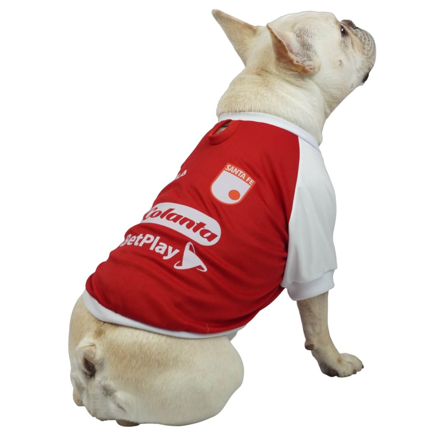 Camiseta Santa Fe para perros y gatos en tela deportiva 
roja con blanco vista frontal - Animal Power Colombia
