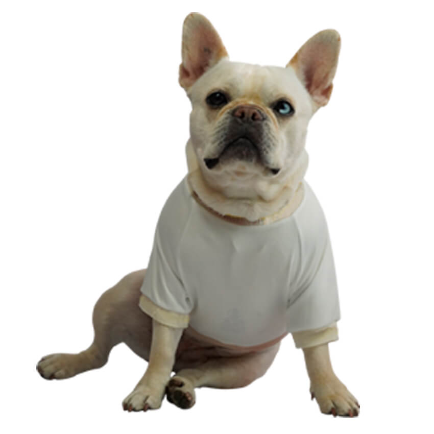 Camiseta Selección Colombia Centenario para perros y gatos 
en tela deportiva marfil vista frontal - Animal Power Colombia
