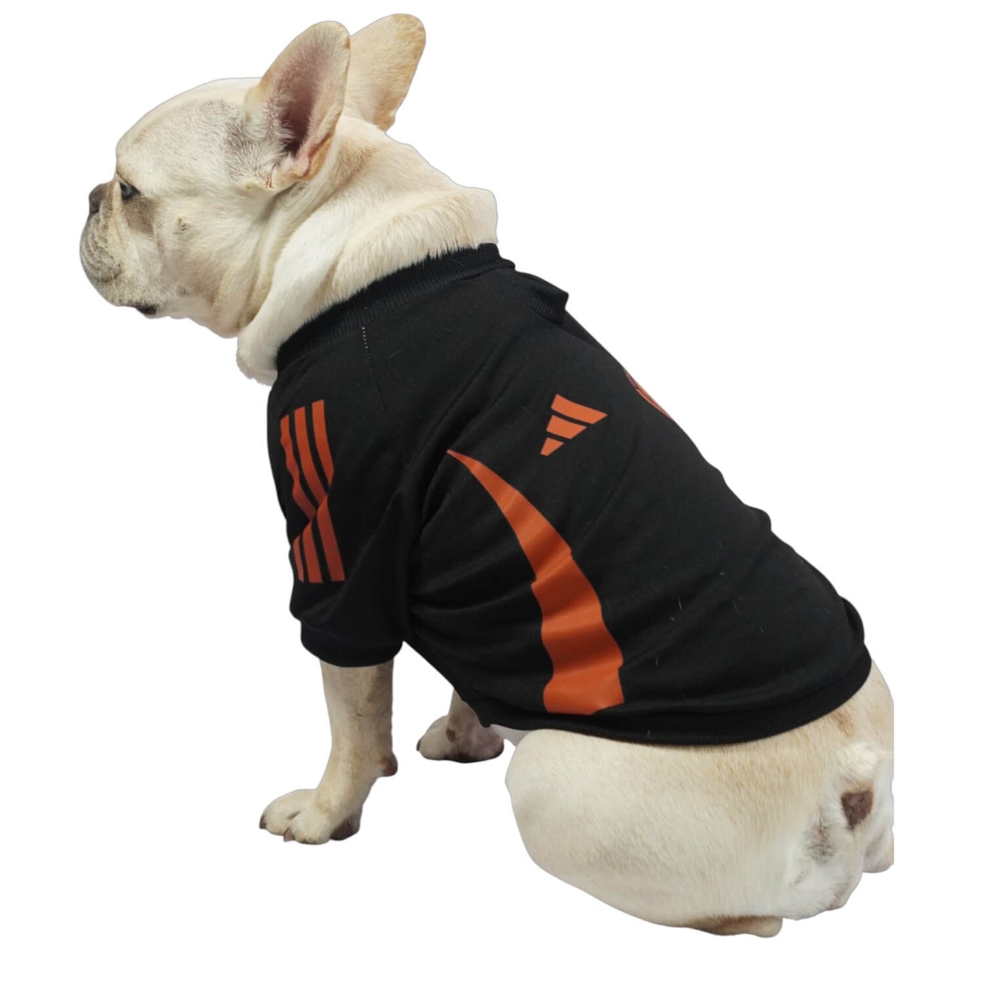 Camiseta Selección Colombia negra para perros y gatos 
en tela deportiva vista frontal - Animal Power Colombia
