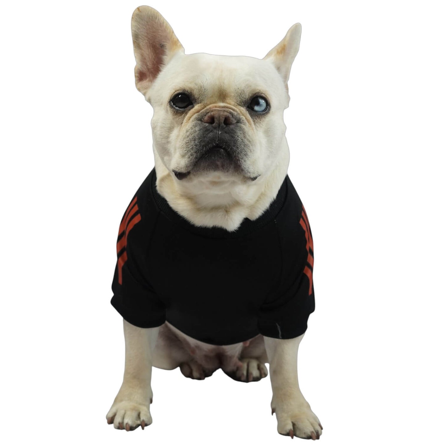 Camiseta Selección Colombia negra para perros y gatos 
en tela deportiva vista frontal - Animal Power Colombia
