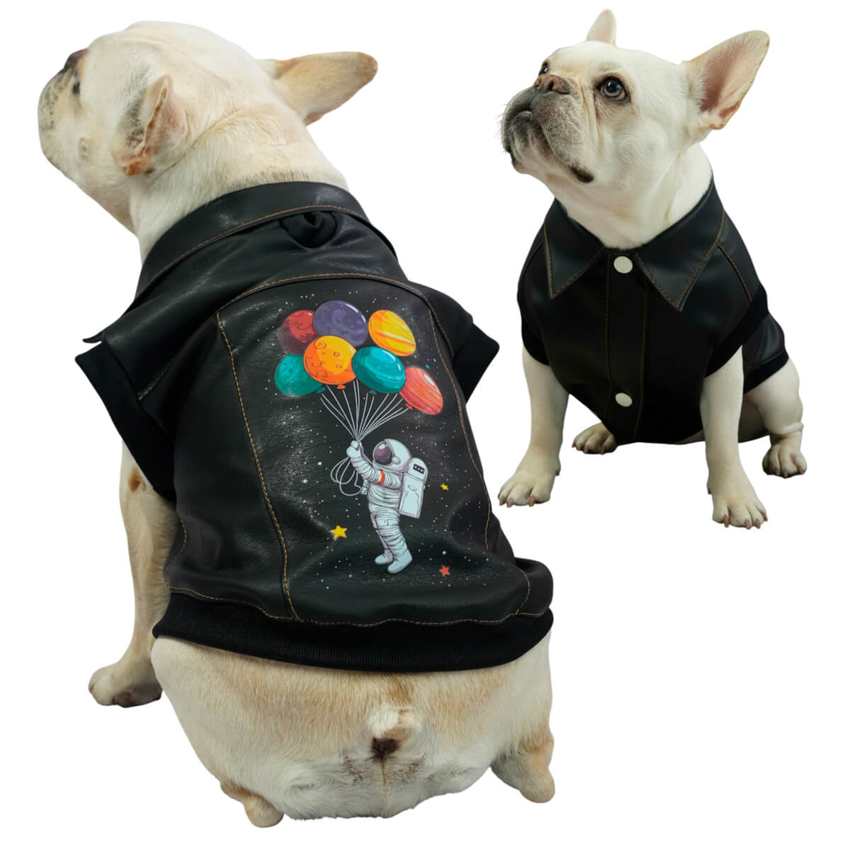 Chaleco Astronauta para perros y gatos en cuerina negra 
vista frontal con estampado DTF - Animal Power Colombia

