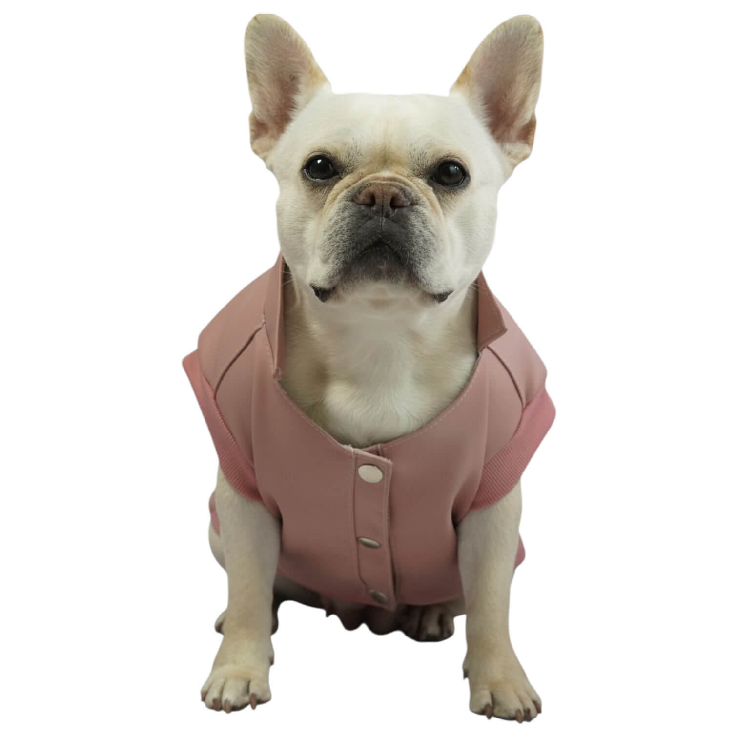 Chaleco Colibrí rosado para perros y gatos en cuerina 
vista frontal con estampado DTF - Animal Power Colombia
5