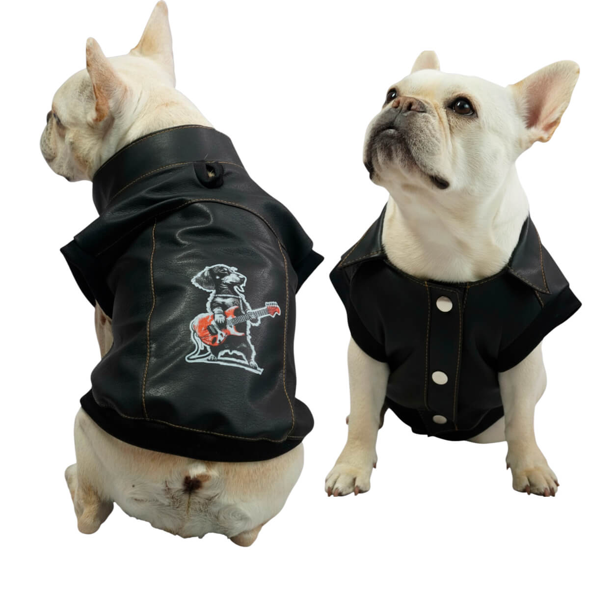 Chaleco Perrito para perros y gatos en cuerina negra 
vista frontal con estampado DTF - Animal Power Colombia
