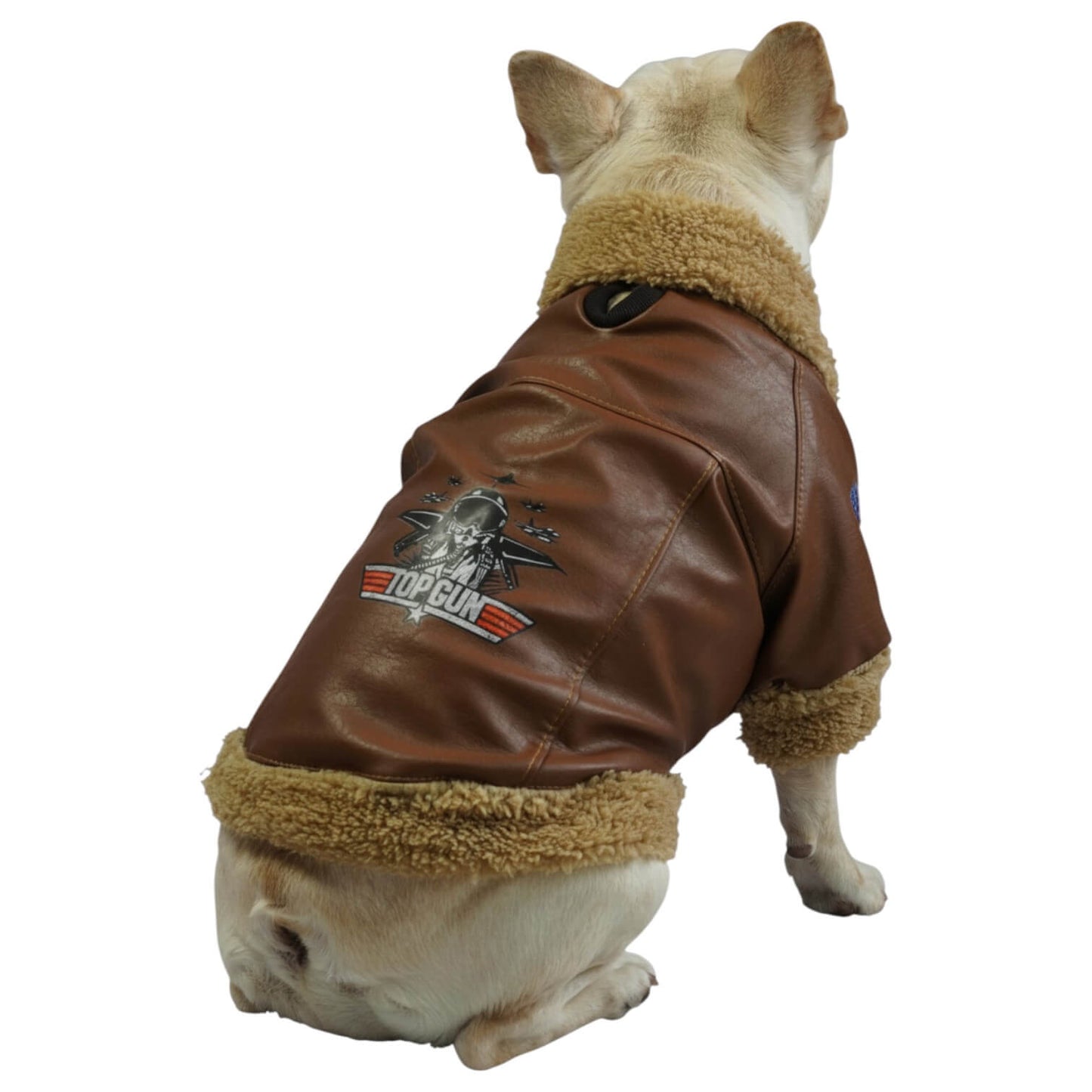 Chaqueta Aviadora para perros y gatos en cuerina café 
vista frontal - Animal Power Colombia
5