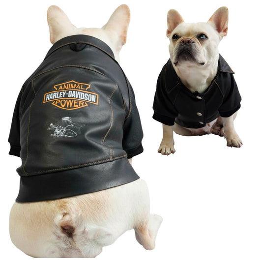 Chaqueta Harley para perros en cuerina negra vista trasera 
con estampado DTF Animal Power - Animal Power Colombia
