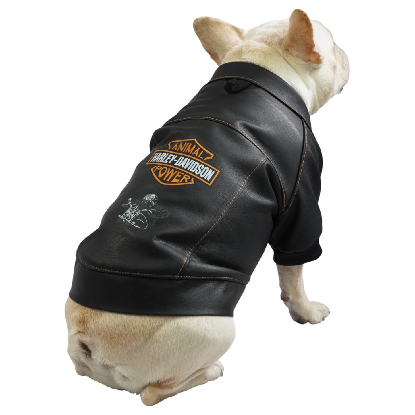 Chaqueta Harley para perros en cuerina negra vista trasera 
con estampado DTF Animal Power - Animal Power Colombia
3