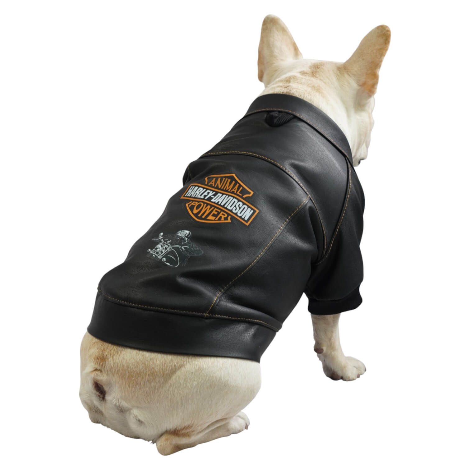 Chaqueta Harley para perros en cuerina negra vista trasera 
con estampado DTF Animal Power - Animal Power Colombia
4