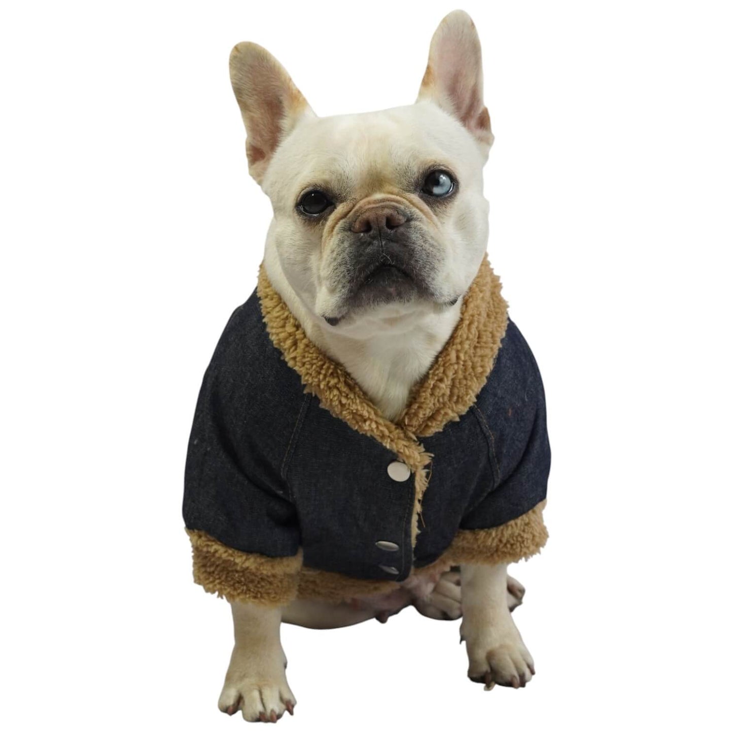 Chaqueta jean Snoopy para perros y gatos vista frontal 
- Animal Power Colombia
