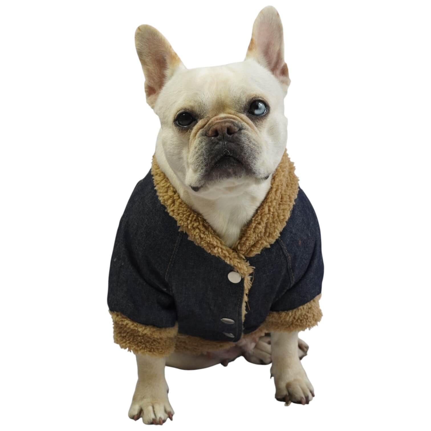 Chaqueta jean Snoopy para perros y gatos vista frontal 
- Animal Power Colombia
