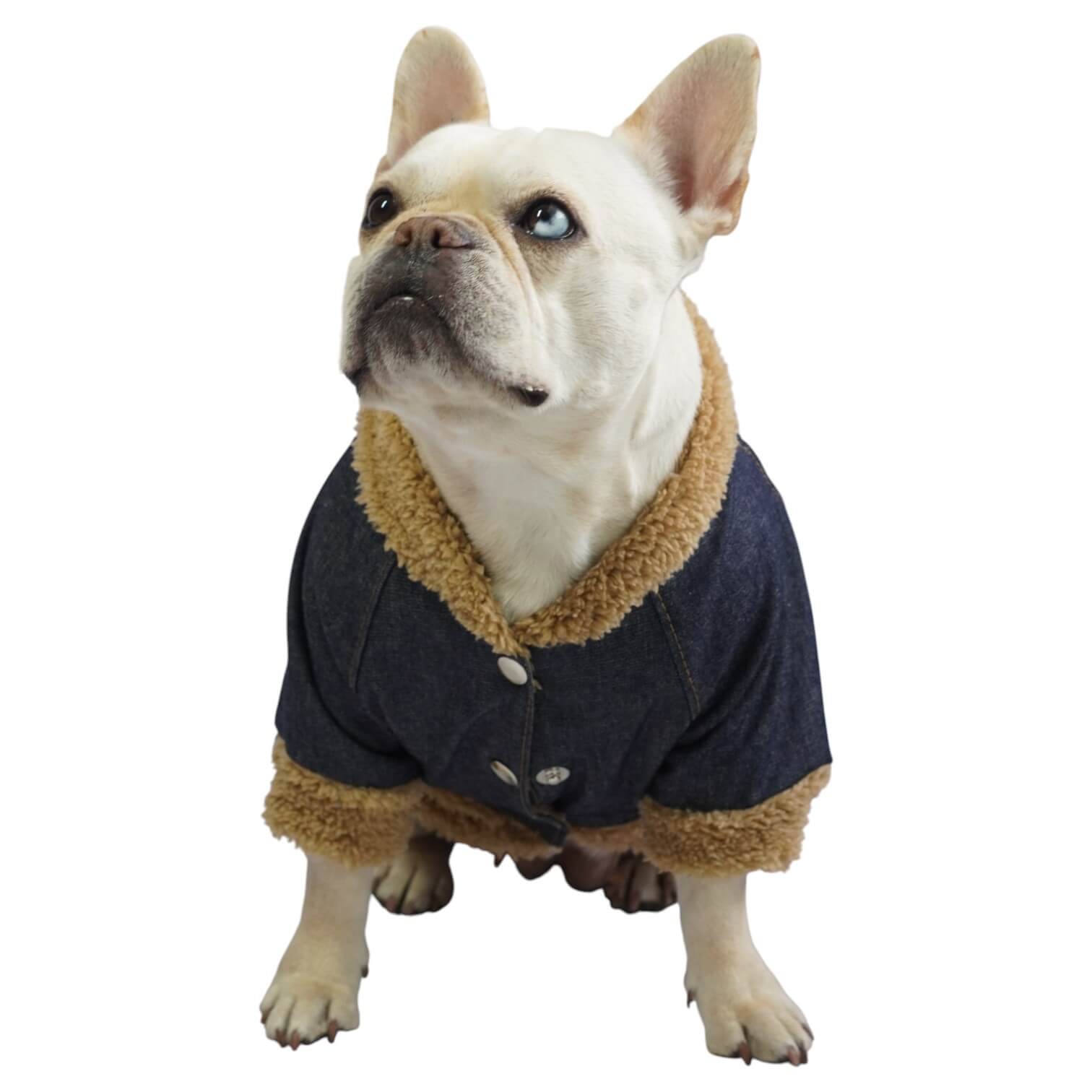 Chaqueta jean Snoopy para perros y gatos vista frontal 
- Animal Power Colombia
