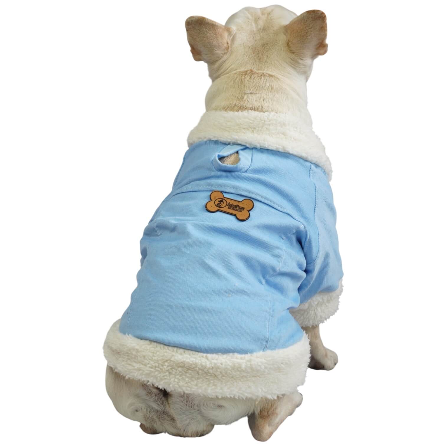 Chaqueta de pana azul para perros y gatos vista frontal 
con marquilla Animal Power Colombia
2