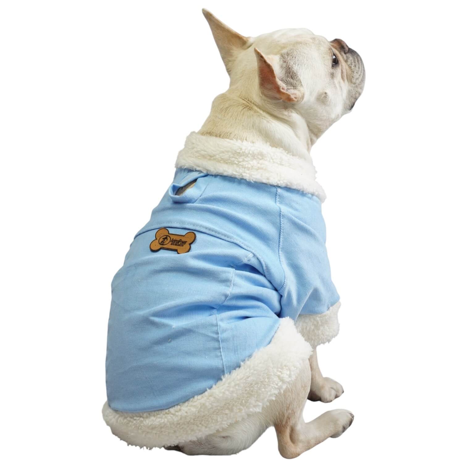 Chaqueta de pana azul para perros y gatos vista frontal 
con marquilla Animal Power Colombia
3