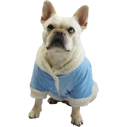 Chaqueta de pana azul para perros y gatos vista frontal 
con marquilla Animal Power Colombia
4