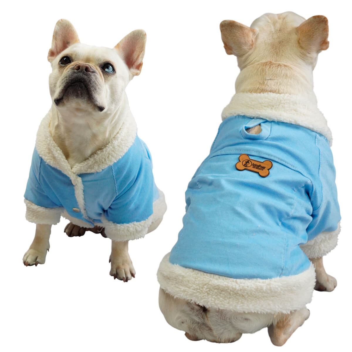Chaqueta de pana azul para perros y gatos vista frontal 
con marquilla Animal Power Colombia
