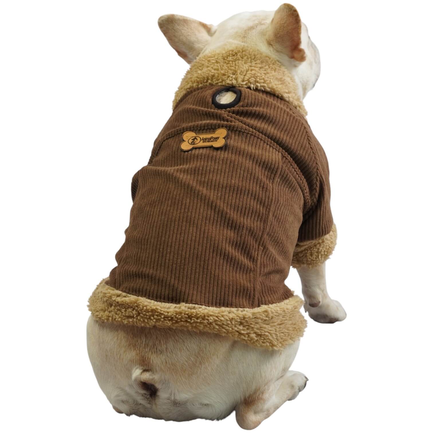 Chaqueta de pana café para perros y gatos vista frontal 
con marquilla Animal Power Colombia
