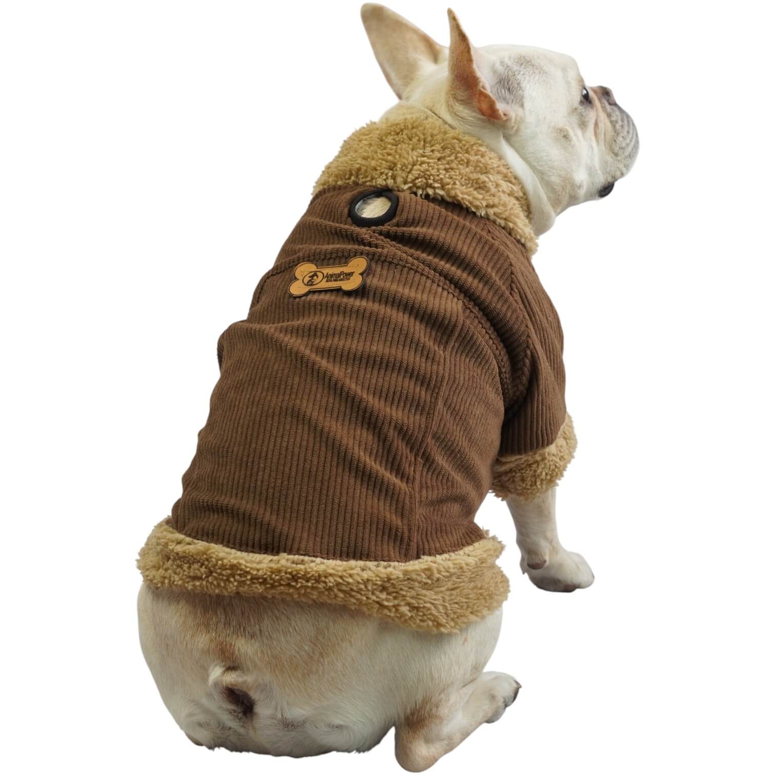 Chaqueta de pana café para perros y gatos vista frontal 
con marquilla Animal Power Colombia
