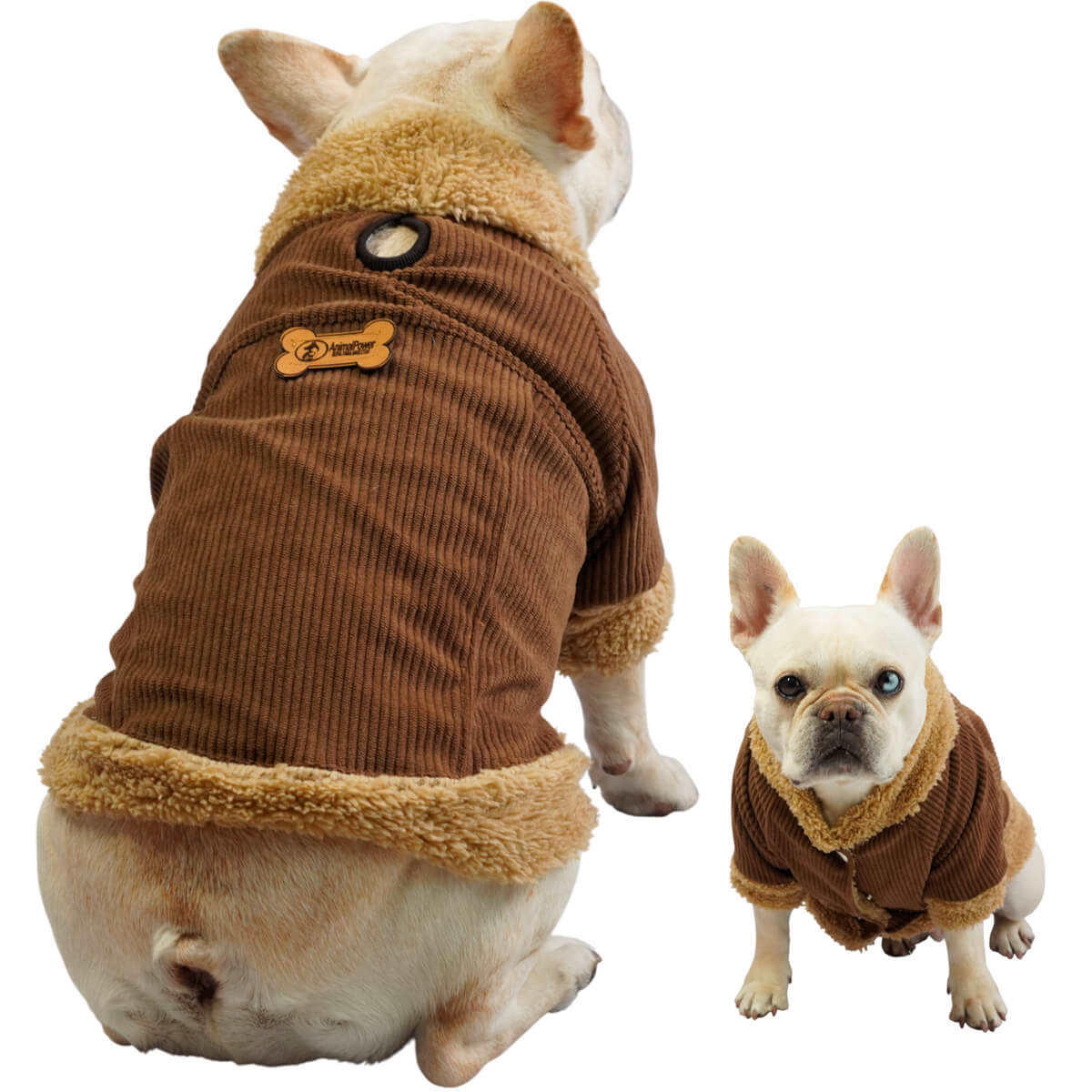 Chaqueta de pana café para perros y gatos vista frontal 
con marquilla Animal Power Colombia

