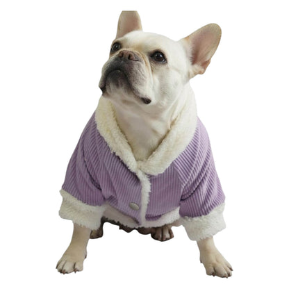 Chaqueta de pana morada para perros y gatos vista frontal 
con marquilla Animal Power Colombia
6