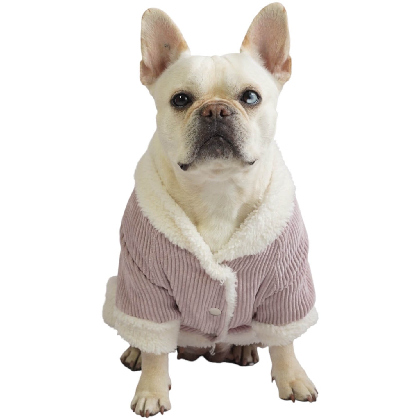 Chaqueta de pana rosada para perros y gatos vista frontal 
con marquilla Animal Power Colombia
5